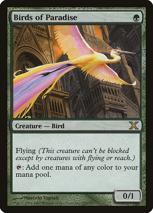 Birds of Paradise, carta Magic di tipo Creature — Bird illustrata da Marcelo Vignali