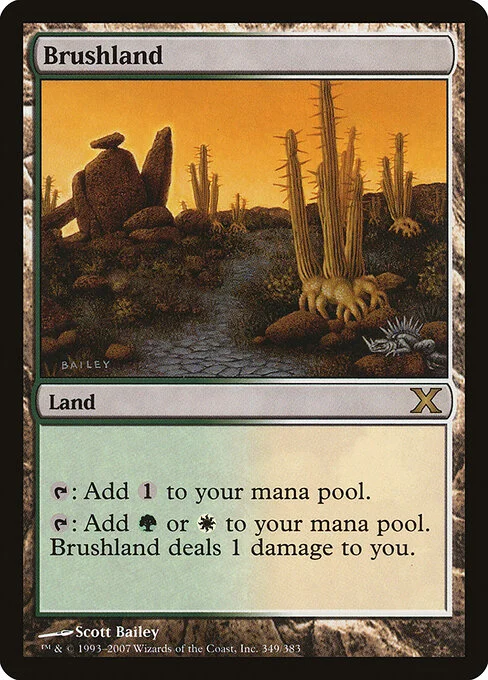 Brushland, carta Magic di tipo Land illustrata da Scott Bailey