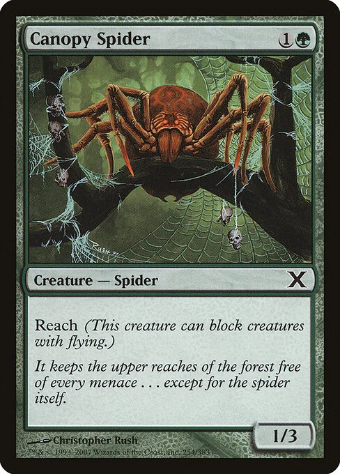 Canopy Spider, carta Magic di tipo Creature — Spider illustrata da Christopher Rush