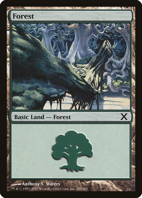 Forest, carta Magic di tipo Basic Land — Forest illustrata da Anthony S. Waters