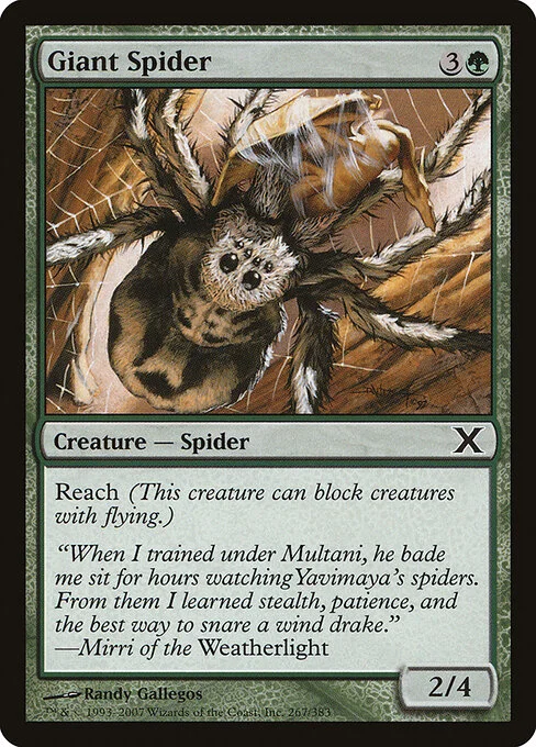 Giant Spider, carta Magic di tipo Creature — Spider illustrata da Randy Gallegos