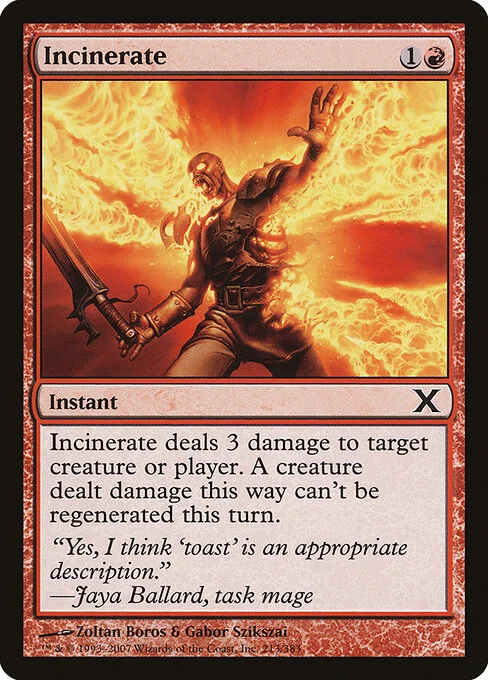 Incinerate, carta Magic di tipo Instant illustrata da Zoltan Boros & Gabor Szikszai