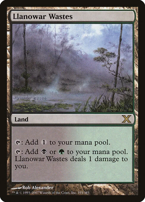 Llanowar Wastes, carta Magic di tipo Land illustrata da Rob Alexander