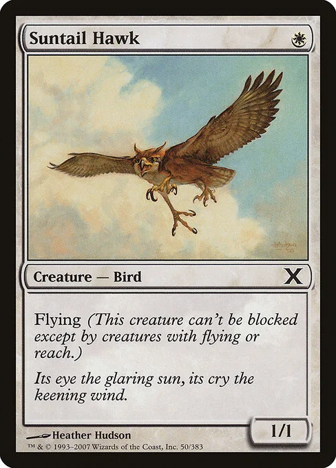 Suntail Hawk, carta Magic di tipo Creature — Bird illustrata da Heather Hudson