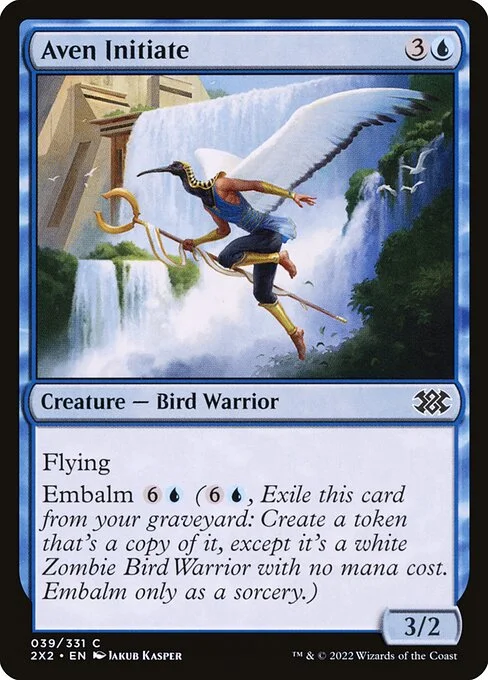 Aven Initiate, carta Magic di tipo Creature — Bird Warrior illustrata da Jakub Kasper