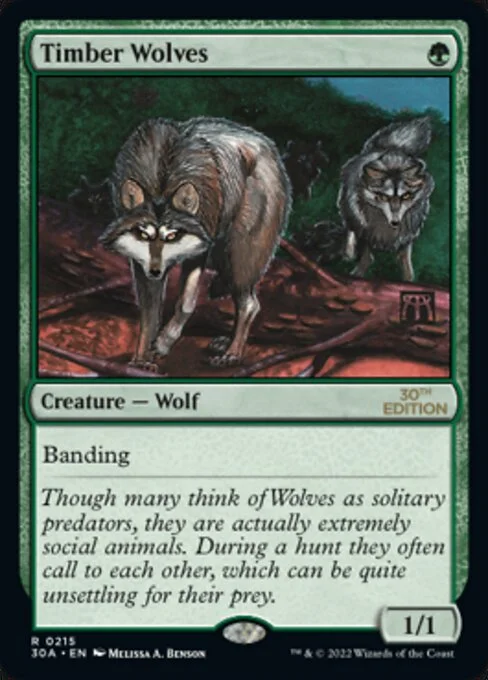 Timber Wolves, carta Magic di tipo Creature — Wolf illustrata da Melissa A. Benson