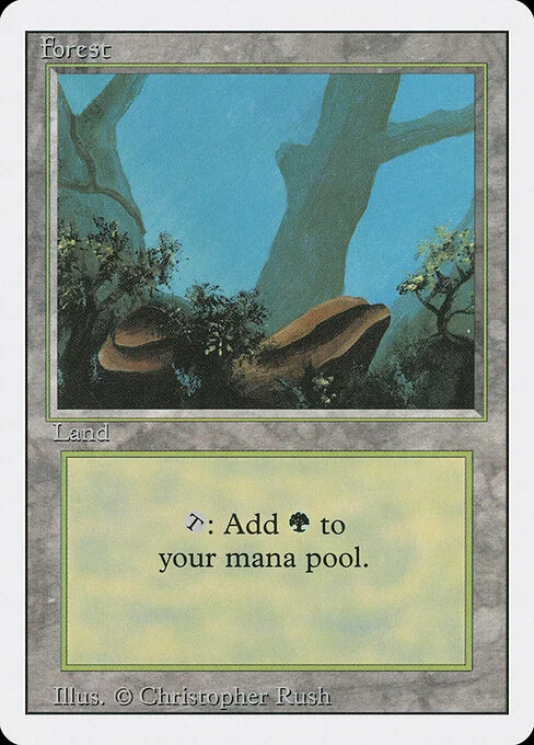 Forest, carta Magic di tipo Basic Land — Forest illustrata da Christopher Rush