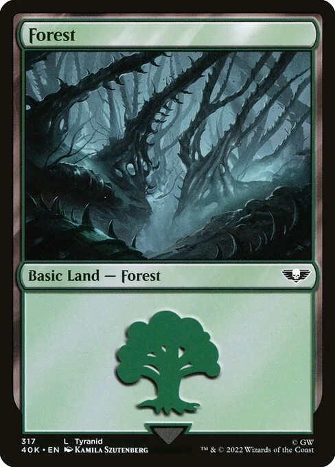 Forest, carta Magic di tipo Basic Land — Forest illustrata da Kamila Szutenberg