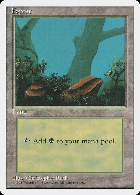 Forest, carta Magic di tipo Basic Land — Forest illustrata da Christopher Rush