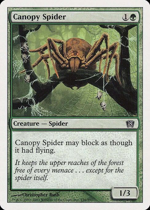 Canopy Spider, carta Magic di tipo Creature — Spider illustrata da Christopher Rush