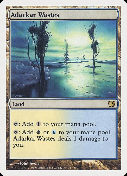 Adarkar Wastes, carta Magic di tipo Land illustrata da John Avon