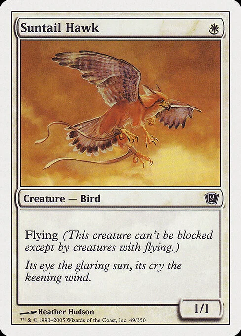 Suntail Hawk, carta Magic di tipo Creature — Bird illustrata da Heather Hudson