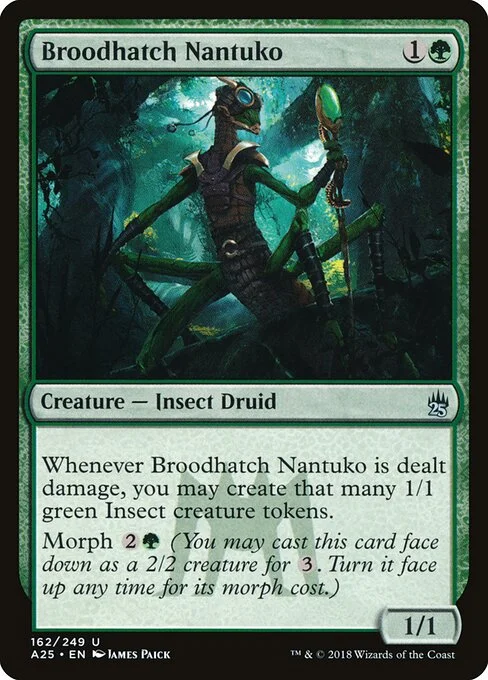 Broodhatch Nantuko, carta Magic di tipo Creature — Insect Druid illustrata da James Paick