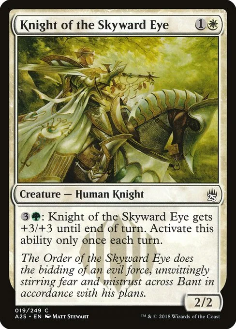 Knight of the Skyward Eye, carta Magic di tipo Creature — Human Knight illustrata da Matt Stewart