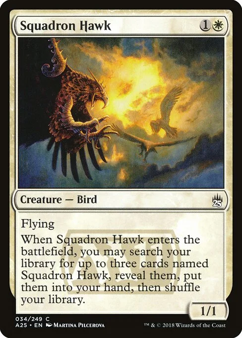 Squadron Hawk, carta Magic di tipo Creature — Bird illustrata da Martina Pilcerova