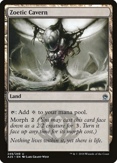 Zoetic Cavern, carta Magic di tipo Land illustrata da Lars Grant-West
