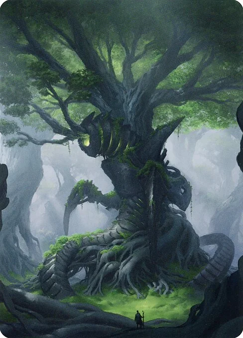 Forest // Forest, carta Magic di tipo Card // Card illustrata da Piotr Dura