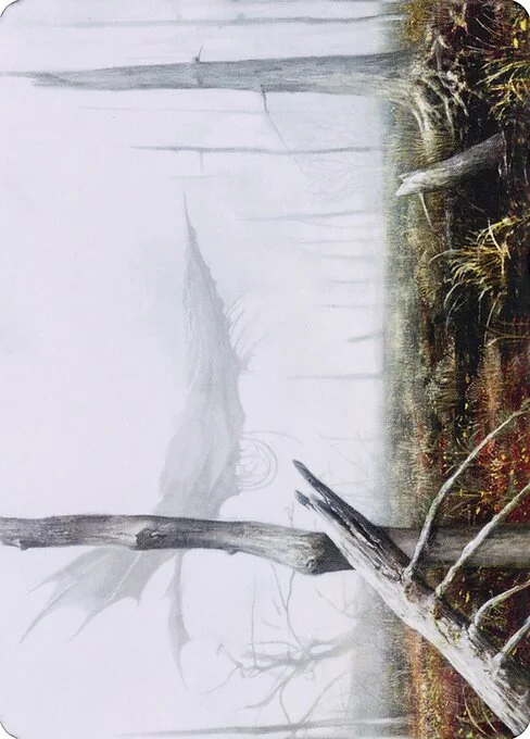 Swamp // Swamp, carta Magic di tipo Card // Card illustrata da Seb McKinnon