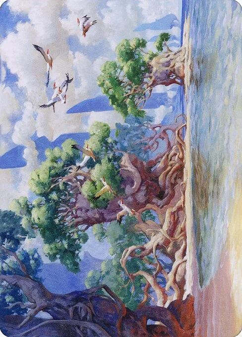Yavimaya Coast // Yavimaya Coast, carta Magic di tipo Card // Card illustrata da Jesper Ejsing