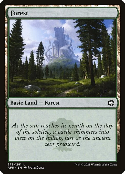 Forest, carta Magic di tipo Basic Land — Forest illustrata da Piotr Dura