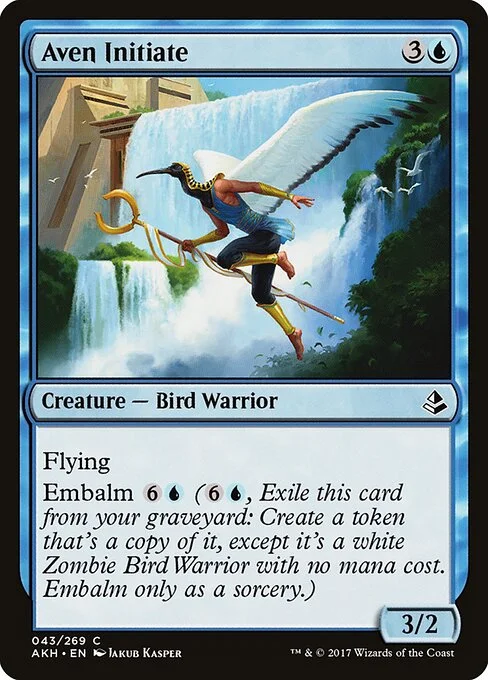 Aven Initiate, carta Magic di tipo Creature — Bird Warrior illustrata da Jakub Kasper