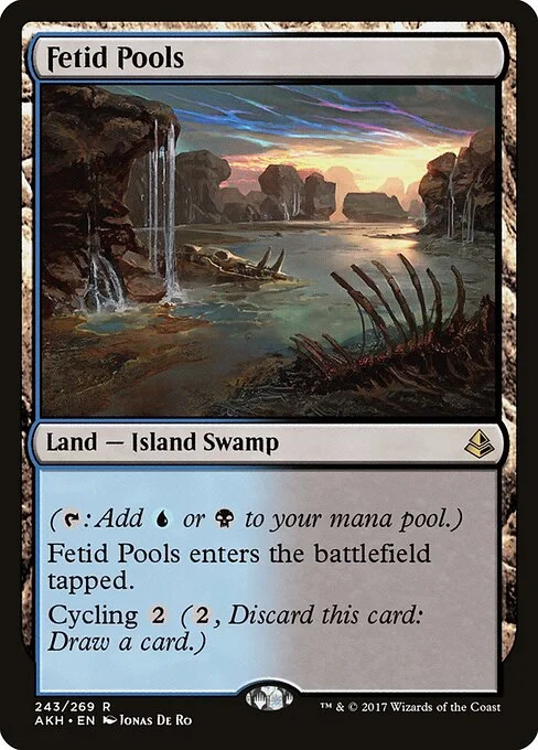 Fetid Pools, carta Magic di tipo Land — Island Swamp illustrata da Jonas De Ro
