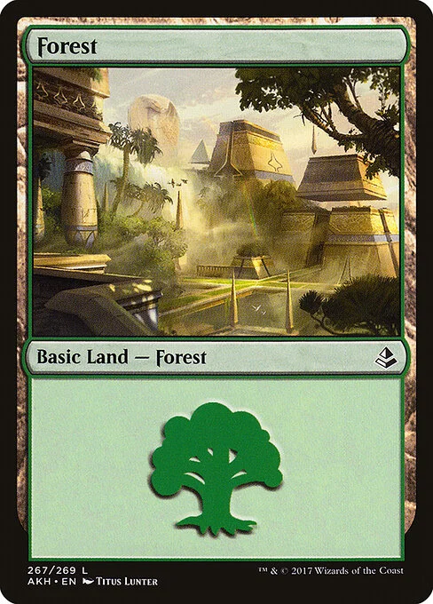 Forest, carta Magic di tipo Basic Land — Forest illustrata da Titus Lunter