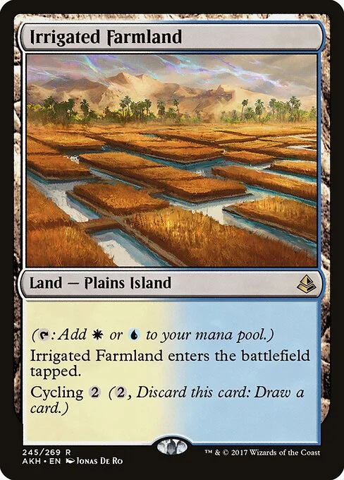 Irrigated Farmland, carta Magic di tipo Land — Plains Island illustrata da Jonas De Ro