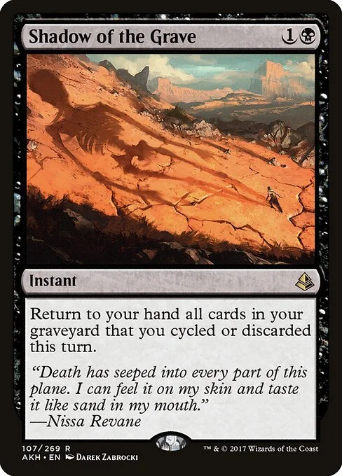 Shadow of the Grave, carta Magic di tipo Instant illustrata da Darek Zabrocki