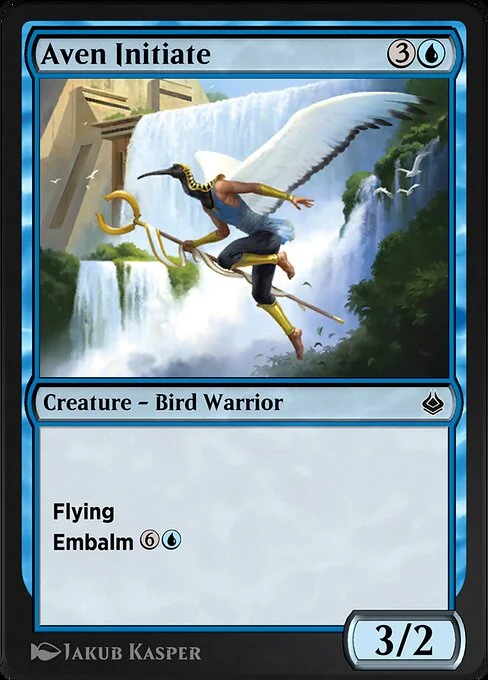 Aven Initiate, carta Magic di tipo Creature — Bird Warrior illustrata da Jakub Kasper