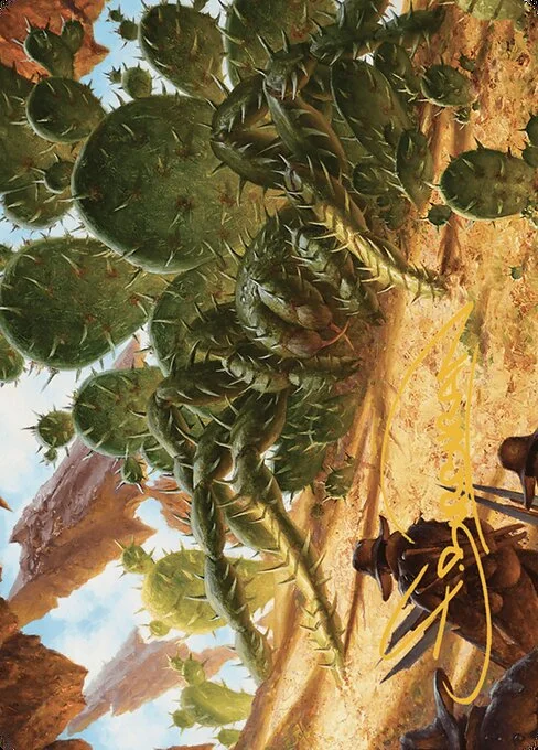 Cactarantula // Cactarantula, carta Magic di tipo Card // Card illustrata da Filip Burburan