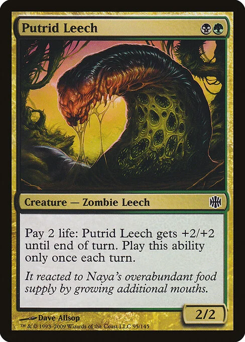 Putrid Leech, carta Magic di tipo Creature — Zombie Leech illustrata da Dave Allsop