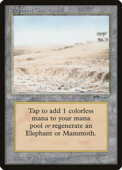 Elephant Graveyard, carta Magic di tipo Land illustrata da Rob Alexander