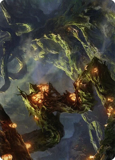 Forest // Forest, carta Magic di tipo Card // Card illustrata da Adam Paquette