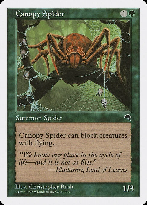 Canopy Spider, carta Magic di tipo Creature — Spider illustrata da Christopher Rush