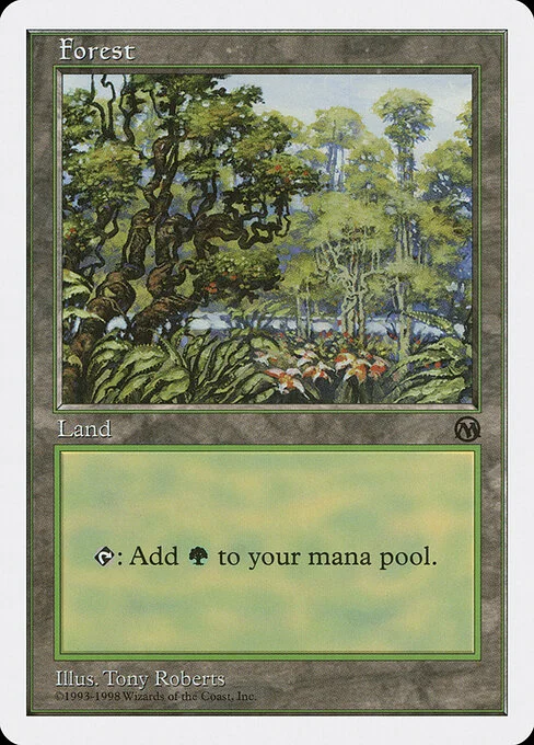 Forest, carta Magic di tipo Basic Land — Forest illustrata da Tony Roberts