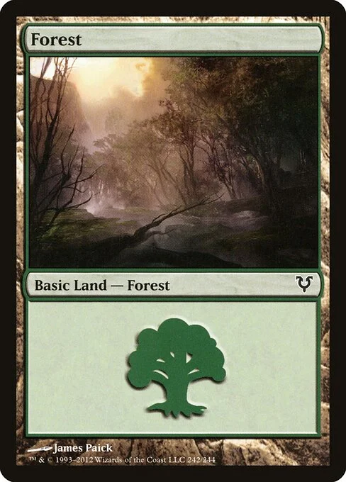 Forest, carta Magic di tipo Basic Land — Forest illustrata da James Paick
