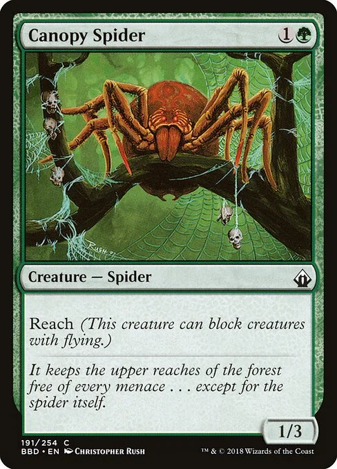 Canopy Spider, carta Magic di tipo Creature — Spider illustrata da Christopher Rush