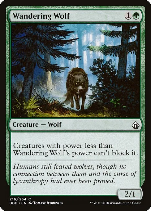 Wandering Wolf, carta Magic di tipo Creature — Wolf illustrata da Tomasz Jedruszek