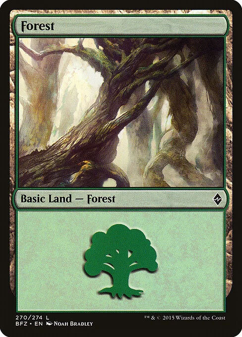 Forest, carta Magic di tipo Basic Land — Forest illustrata da Noah Bradley