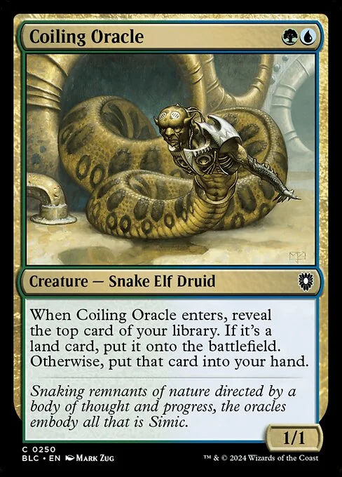 Coiling Oracle, carta Magic di tipo Creature — Snake Elf Druid illustrata da Mark Zug