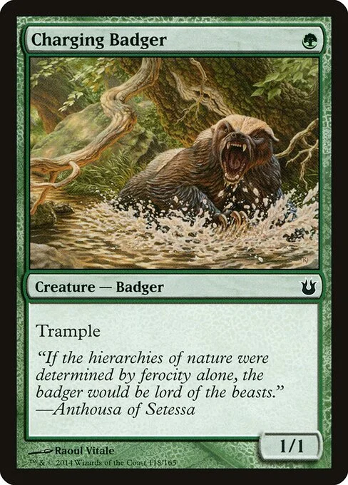Charging Badger, carta Magic di tipo Creature — Badger illustrata da Raoul Vitale