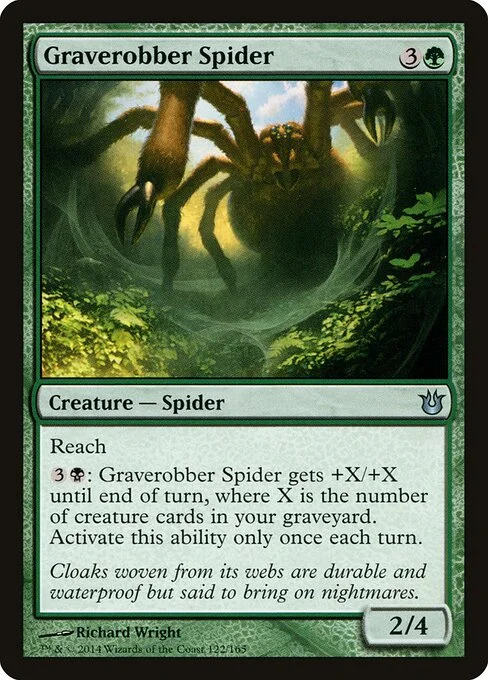 Graverobber Spider, carta Magic di tipo Creature — Spider illustrata da Richard Wright