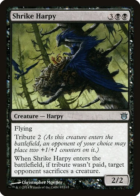 Shrike Harpy, carta Magic di tipo Creature — Harpy illustrata da Christopher Moeller