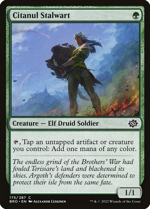 Citanul Stalwart, carta Magic di tipo Creature — Elf Druid Soldier illustrata da Alexandr Leskinen