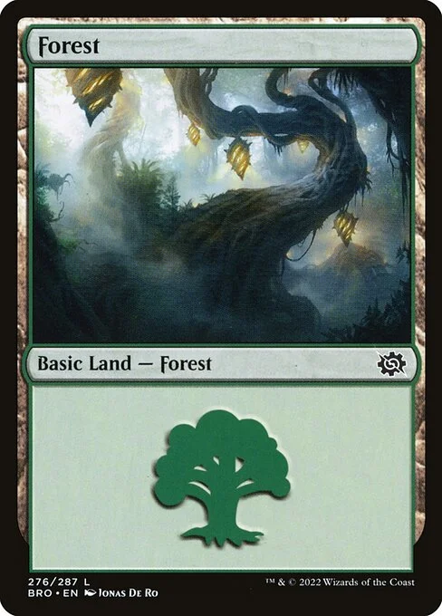 Forest, carta Magic di tipo Basic Land — Forest illustrata da Jonas De Ro