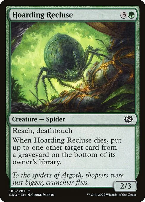 Hoarding Recluse, carta Magic di tipo Creature — Spider illustrata da Jorge Jacinto