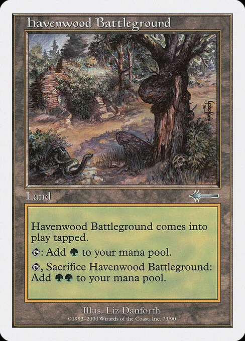 Havenwood Battleground, carta Magic di tipo Land illustrata da Liz Danforth