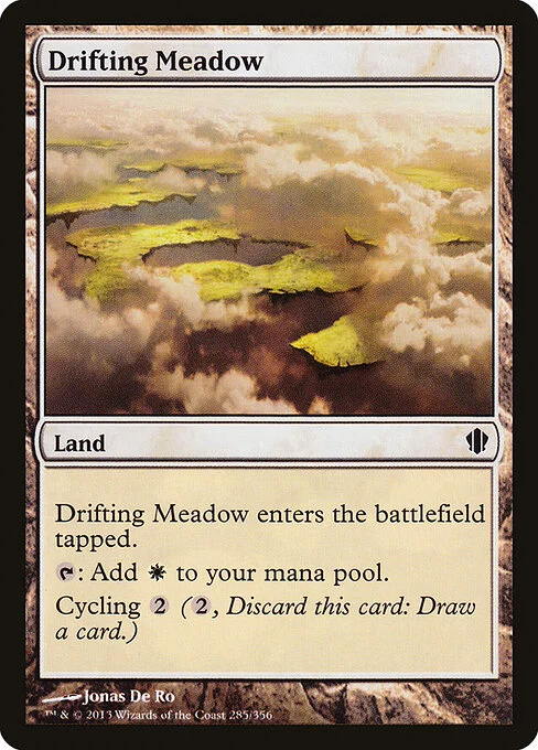 Drifting Meadow, carta Magic di tipo Land illustrata da Jonas De Ro