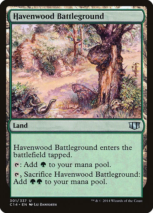 Havenwood Battleground, carta Magic di tipo Land illustrata da Liz Danforth